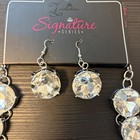 Paparazzi Zi Collection Silver Necklace   Earrings Set