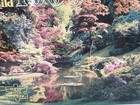 Vintage Golden Guilds 1000 Piece Jigsaw Puzzle Floral Garden 