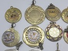 Collection Of Canine Medals From Dog Shows And Competitions Many Different