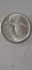 1967 Canadian Silver Dollar  Also Known As The  flying Goose  Dollar