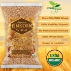 Einkorn Wheat - 100  Certified Organic Einkorn Wheat  5-25 Pounds 