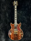 Ibanez Artcore Expressionist Am93me -natural- 3 24kg