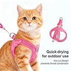 Dog Cat Harness And Leash Set Soft Padded Handle No Pull Puppy Walking Vest