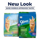 9lives Indoor Essentials Dry Cat Food With Chicken   Salmon  12 Lb  Bag