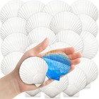 Yujun 32pcs Natural Scallop Shells  2  -3   White Seashells Bulk For Diy Crafts