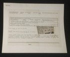 Macho Man Randy Savage 1990 Original Wwf Wwe News Wire Photo Joe Lewis Arena 