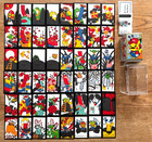 Pokemon Mario Pikachu Hanafuda Playing Card Nintendo Limited Edition