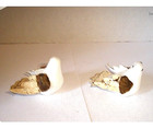 White   Tan gold Doves  Mushroom  Set Of 2