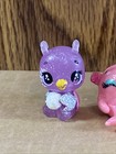  14  Hatchimals Colleggtibles Figures Lot Of 5