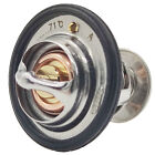 Thermostat For Yanmar Komatsu 4d84 4tne84 4d88 Excavator Loader Tractor 71    160   