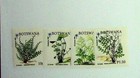 Botswana Sc 540-43 Nh Issue Of 1992 - Christmas - Flowers -  ja25 