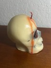 Vintage Guild House Bleeding Halloween Skull Candle Unused Halloween Decor Scary