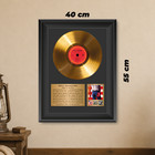 Gold Plated Bruce Springsteen Vinyl Record Framed Display Music Memorabilia Gift