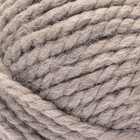 Bernat   Future Recycled Wool  6 Super Bulky Blend Yarn  Cloudy Day 6oz Set  two