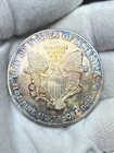 2003 American Silver Eagle  1 Dollar 1 Oz 999 Silver Coin Bullion  Toned  E22