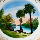 Daytona Tomoka River Fl Florida Antique Souvenir China Dish Plate