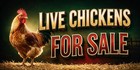 Live Chickens For Sale Vinyl Banner Farm Poultry Advertising Sign Homestead