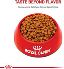 Royal Canin Feline Health Nutrition Kitten Dry Cat Food  14-lb Bag