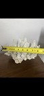 Coral   Natural   Raw   Vintage  unknown Specimen   Sculpture 8   