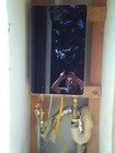 Eccotemp I12-ng 4gpm Natural Gas Tankless Water Heater - Black
