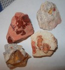 Mexican Fire Opal Rough Bonanza Sale 191tcw  4 Pieces  Cut  Polish  Craft Gems