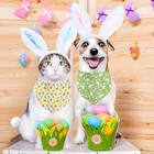 Easter Dog Bandana  2 Pack Adjustable Holiday Party Pets Rabbit Easter Egg 