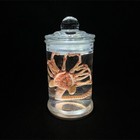 Alien Jar Xenomorph Specimen Facehugger Embryo Glass Jar Movie Prop Replica