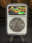  313-burnished 2017  w   1 Silver Eagle Ngc Ms-70 Premier Select
