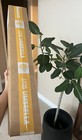 2-pack Kids Umbrellas For Kid Clear Dome Bubble Birthday Gift Automaticumbrella