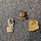 Saguaro Cactus Grand Canyon Arizona Travel Lapel Pin Lot Of 3