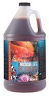 Microbe Lift Pl 1 Gal Koi Pond Clarifier 10plg4  Beneficial Bacteria   1 Gallon 