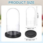Glass Cloche Display Dome  7  X 3 5  Glass Dome Display Case  Black