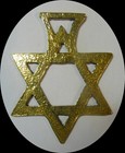 Star Of David      Horse Brass   n577 