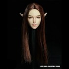 1 6 Scale Female Elf Girl Brown Hair Head Sculpt F 12  Tbleague Pale Body Figure