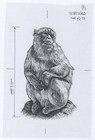 Gibraltar Monkey On 50 Pounds  1995-2006  P28   P34  Artist Essay Sketch Proof