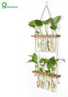 Hyindoor Wall Hanging Planter Terrarium 2 Tired Test Tube Vase Glass Planter Pla