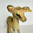 Vintage Steiff Roebuck 11    Standing Deer Buck Fawn Id Button Tag  1335 Rare Htf
