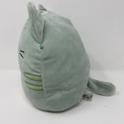 Squishmallow Chase The Green Tabby Cat 9    Plush Kellytoy Mint Green Rare