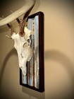 Rustic  Deer Skull  European Mount  Plaque Rusted Tin Frame Panel