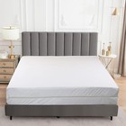 Zippered Mattress Encasement Waterproof Bed Bug Mattress Protector Cover Pad