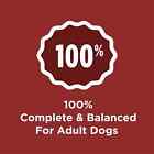 Purina Dog Chow Complete Adult Dry Dog Food  High Protein Real Beef  44 Lb Bag