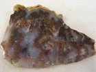Dig-n-utah  Slab Moss Plume Agate Jasper Rough    I 1000