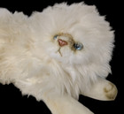 Vintage Yomiko Russ Berrie Himalayan Persian Cat Kitten Ivory Blue Eyes Korea