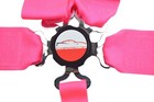 Vw Sfi 16 1 Pull Up Lap Belts Racing Harness 5 Point V Mount 3  Cam Lock Pink