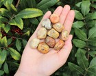 Bulk 1 Lb Lot Crazy Lace Agate Tumbled Stone  crystal Healing Gemstone  16 Oz