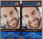 2 Pack Color For Him Beard   Mustache Color Brown Brush-in Beard Dye