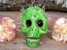 Cactus Skull Day Of The Dead Clay Handmade Rafael Pineda Mexican Folk Art Sm Sz