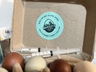 Elector For Poultry chicken Bugs 9ml