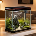 5 Gallon Betta Fish Tank Aquarium  Self-cleaning Glass Kit  Perfect For Home Dec