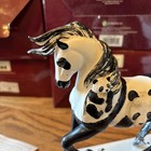The Trail Of Painted Ponies Panda Paws Retired 2017   1e 1248  4049713